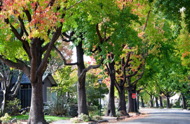 Neighborhood Scale The Future Of Building Decarbonization