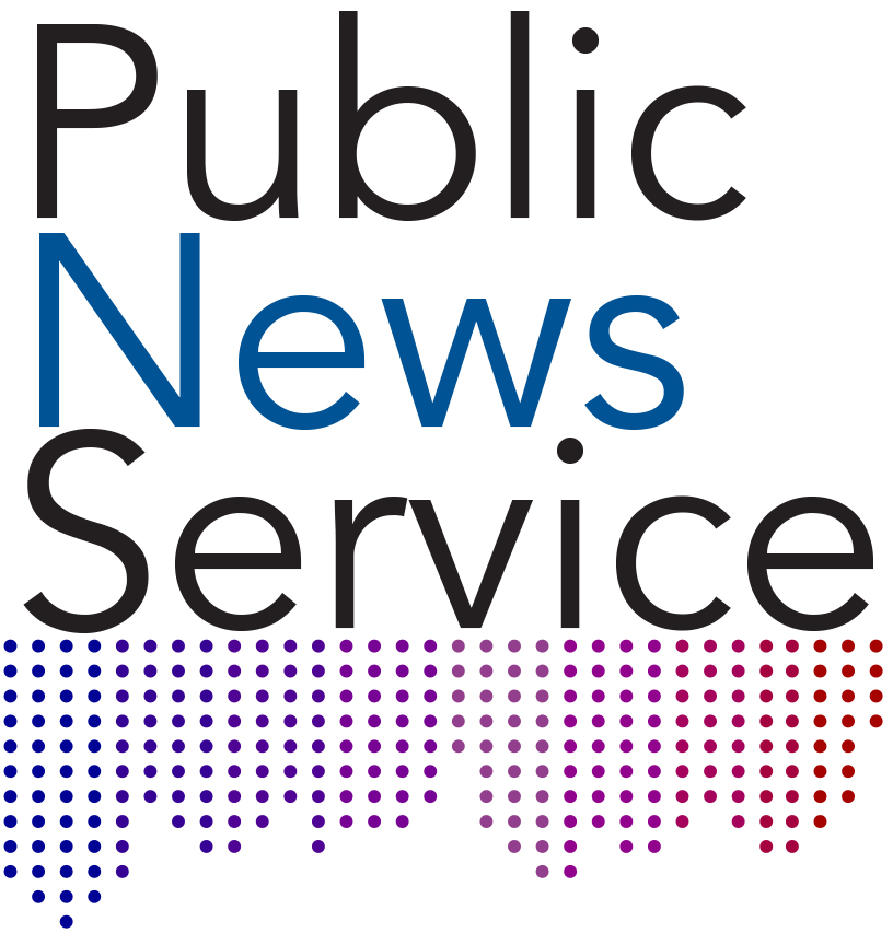 Public New Service Logo